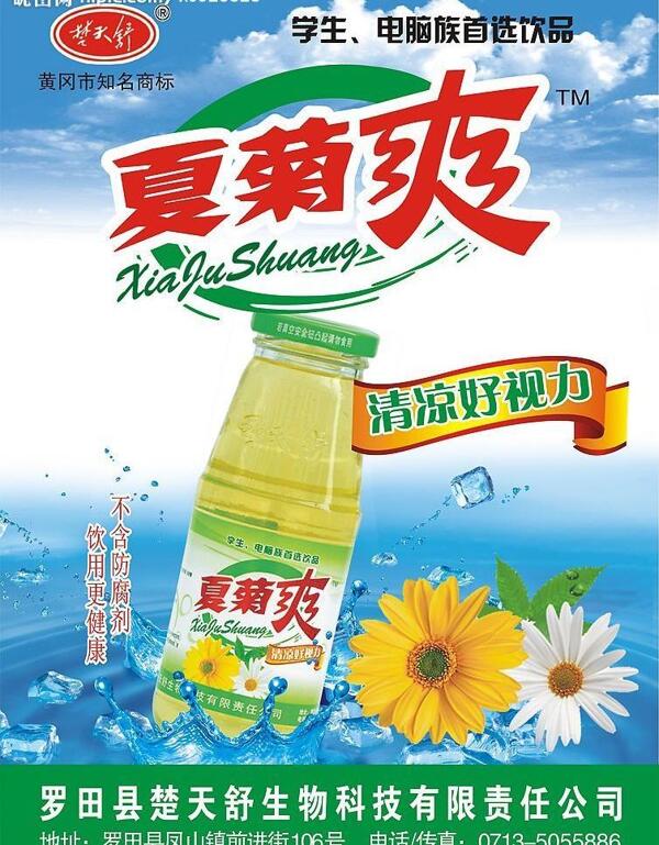 菊花露宣傳單圖片
