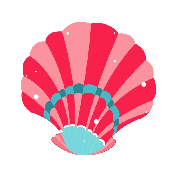 海洋扇贝贝壳