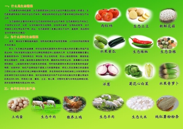 有機蔬菜類宣傳彩頁圖片