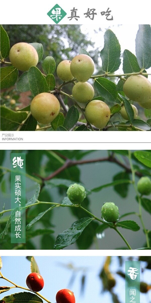 棗子詳情頁
