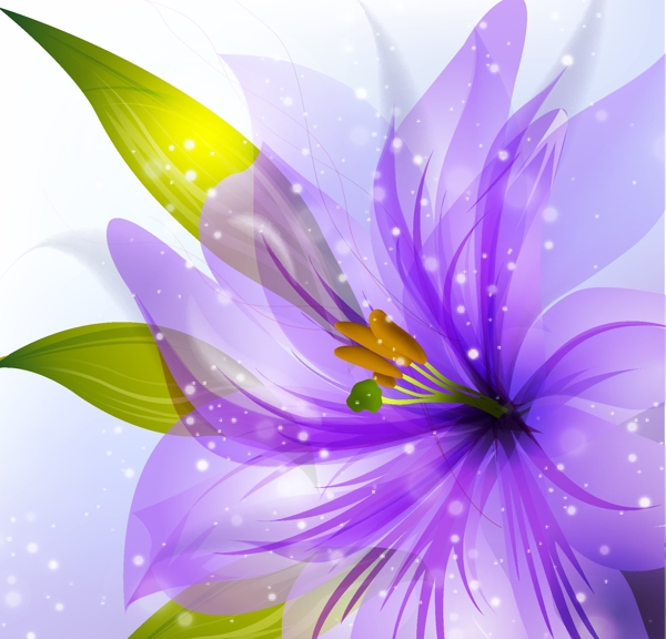 花卉插畫(huà)設(shè)計(jì)圖片