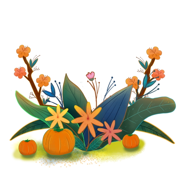 感恩节南瓜花朵原创手绘装饰png素材下载