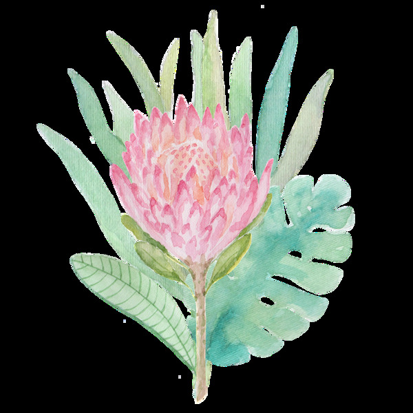 鮮花透明裝飾圖案