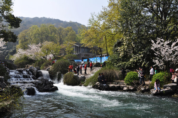 太子灣公園奔流溪水