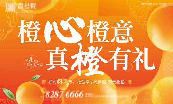橙子水果包裝