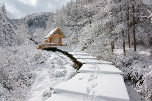 雪徑