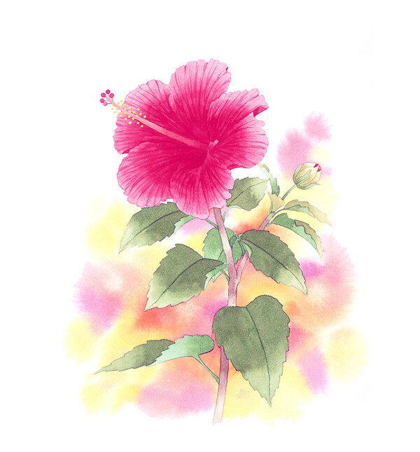 位圖寫意花卉藝術(shù)效果水彩花卉免費(fèi)素材