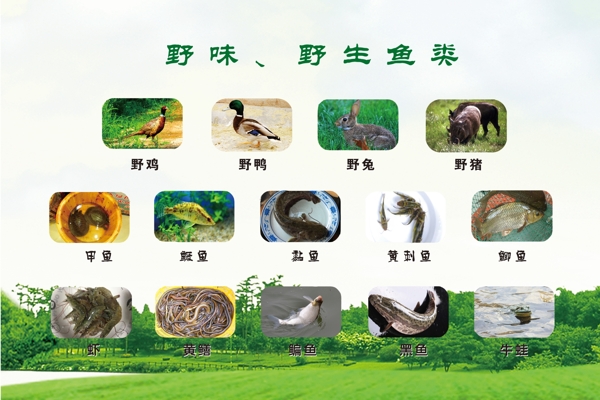 生態(tài)家禽水產(chǎn)供應(yīng)
