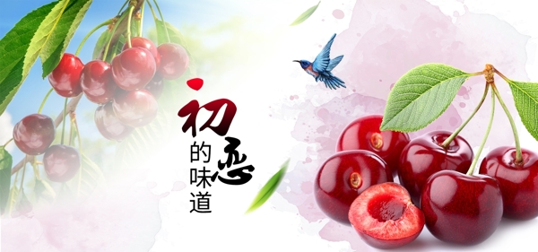 櫻桃水果海報(bào)