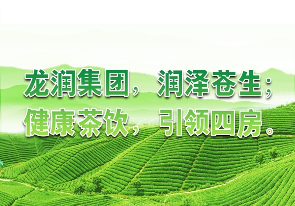 龍潤(rùn)集團(tuán)海報(bào)