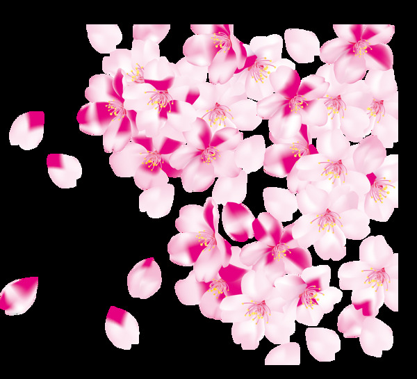 飞舞悬浮的樱花瓣素材