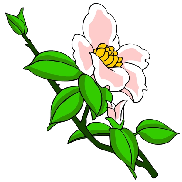 花卉古典插畫
