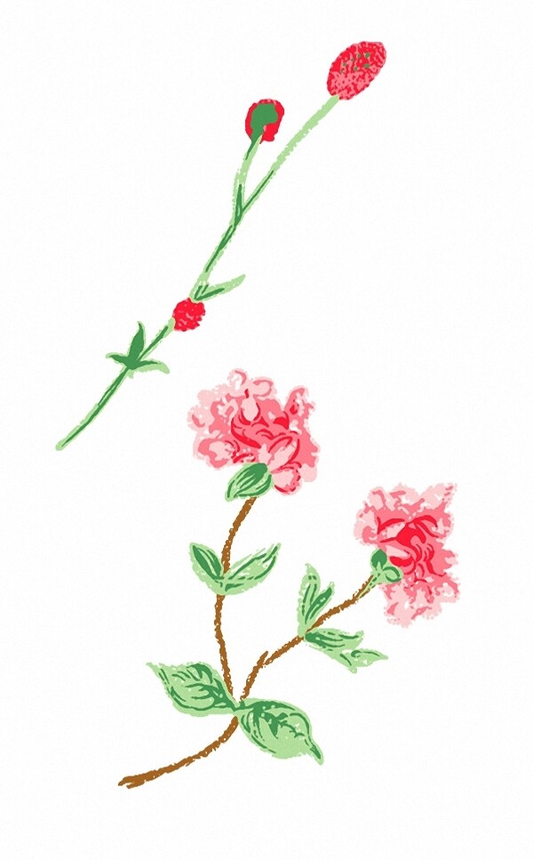 位圖成熟優(yōu)雅女裝T恤圖案毛衫印花優(yōu)雅植物免費(fèi)素材