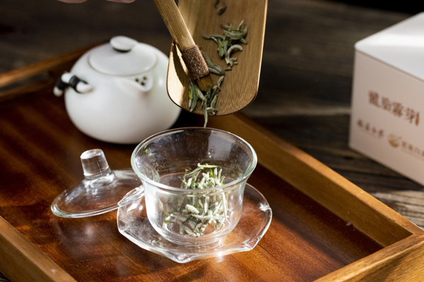 福鼎白茶