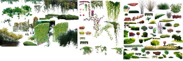 PSD分图层植物素材