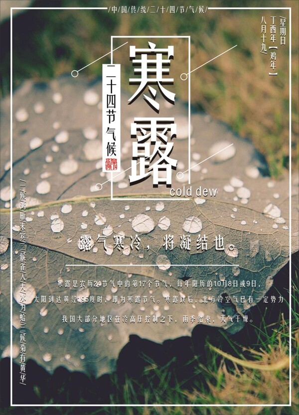 寒露節(jié)氣海報