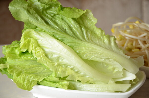 生菜