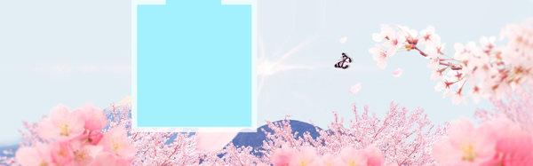 清新粉色花朵banner背景素材