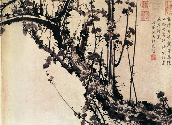 梅花水墨畫圖片