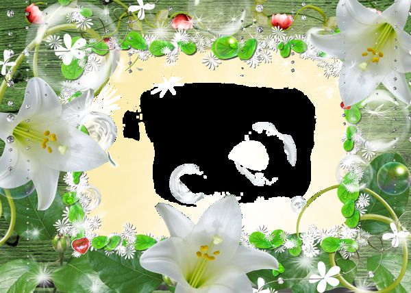 花樣相框圖片