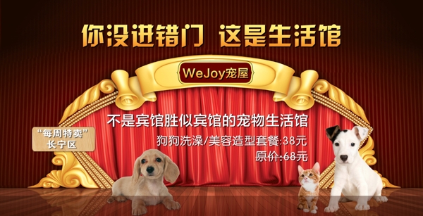 寵物banner