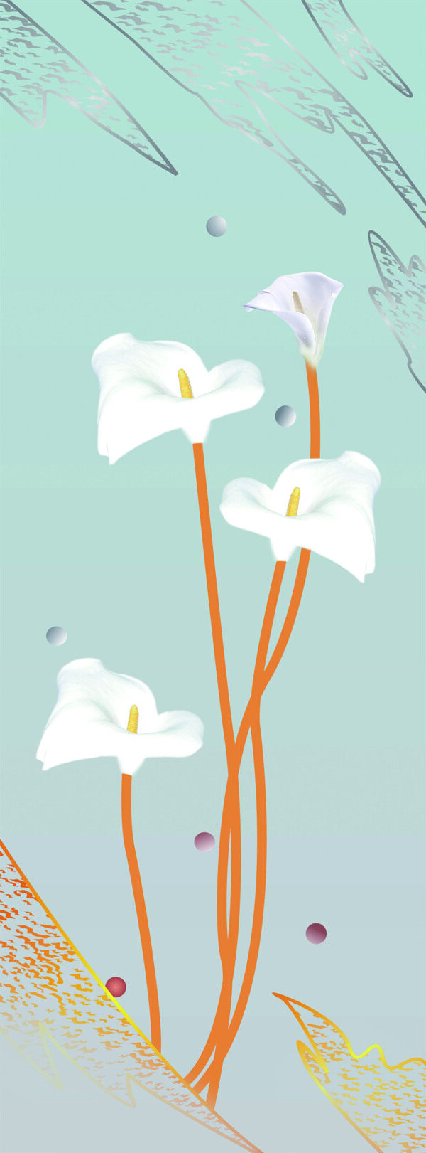 百合圖片