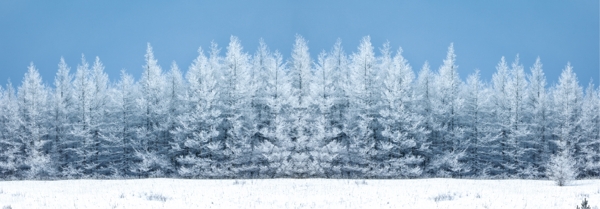 雪景圖片