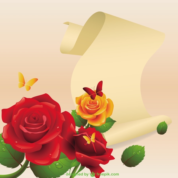 玫瑰和一纸莎草纸卷轴