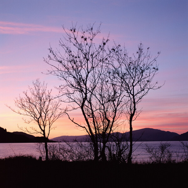 黄昏的美丽湖泊图片