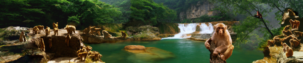 景區(qū)