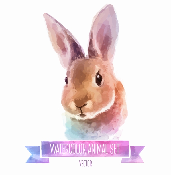 水彩绘可爱的兔子插画