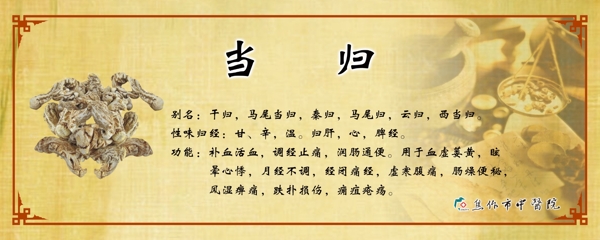 當(dāng)歸圖片