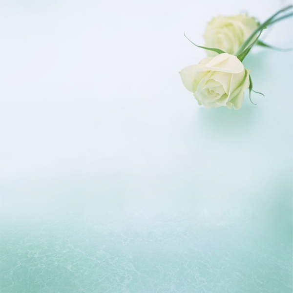 花朵素材