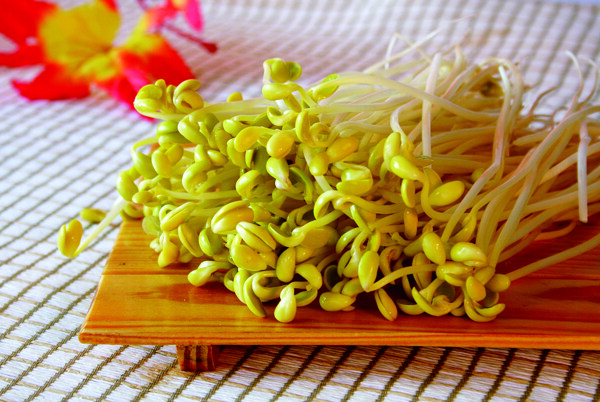 豆芽圖片