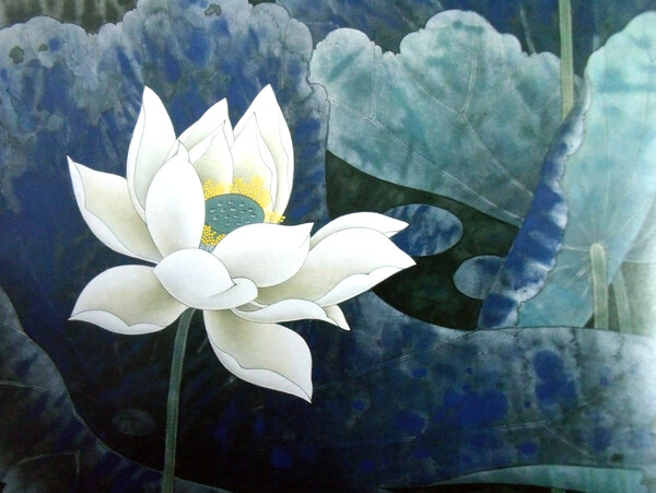 荷花圖片