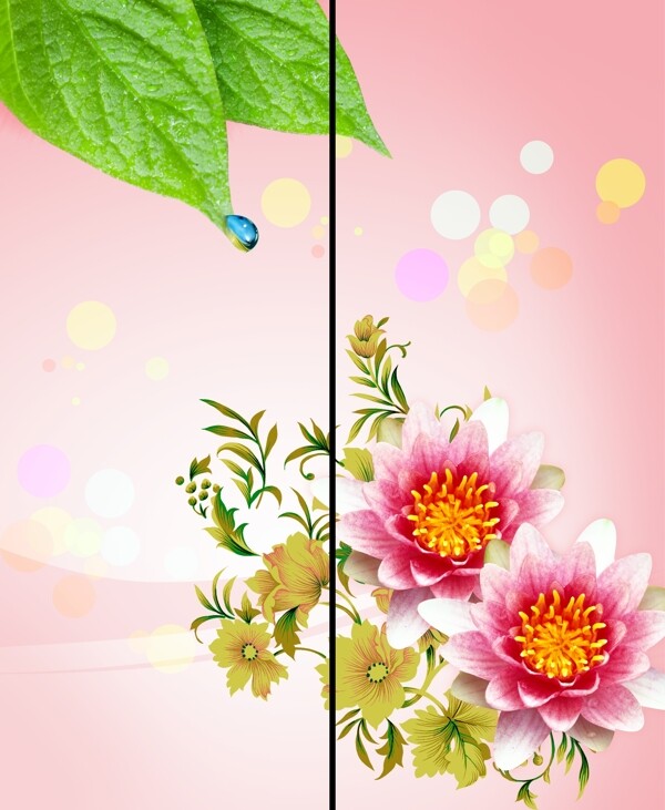 移門花葉圖片