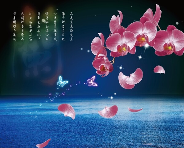 花圖片