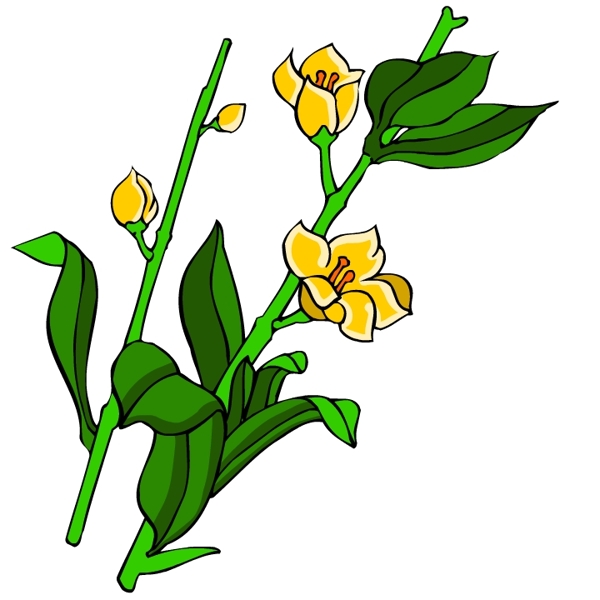 花卉古典插畫