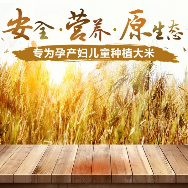 淘寶電商食品美食主圖直通車零食圖片素材