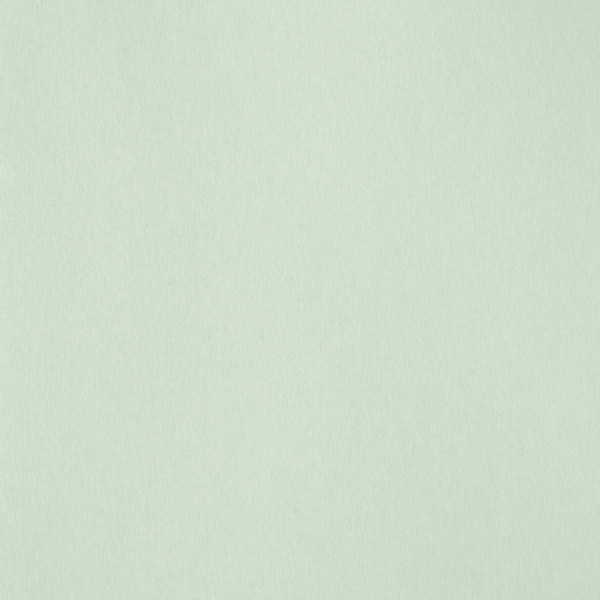 底紋