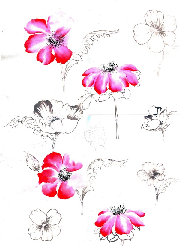 彩繪花