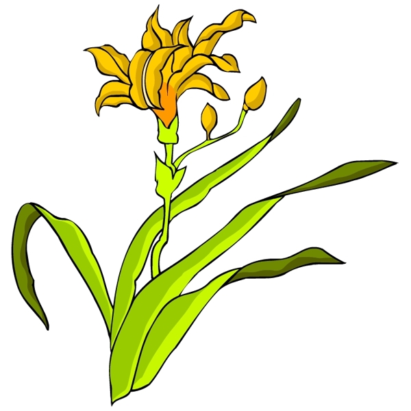 花卉古典插畫(huà)