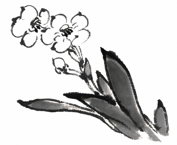 國(guó)畫花