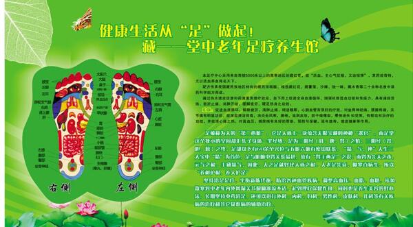 足療展板荷花圖片