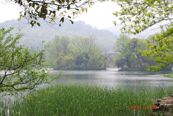 杭州西湖春天美景图片