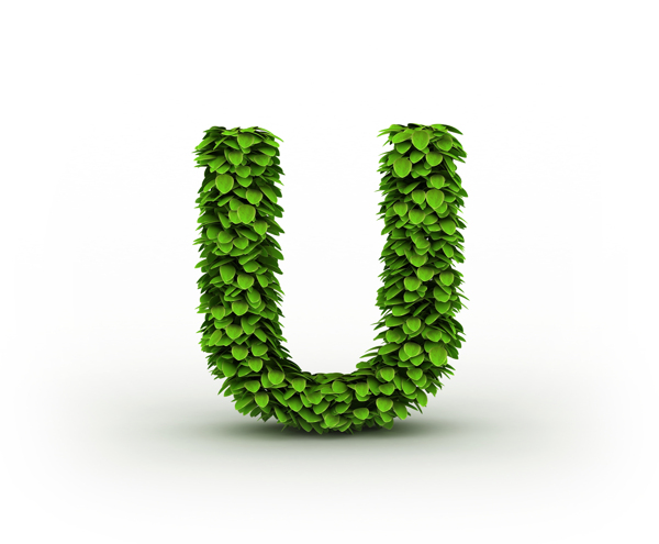 綠葉立體字母U