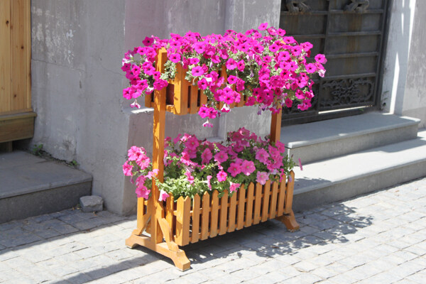 花架圖片