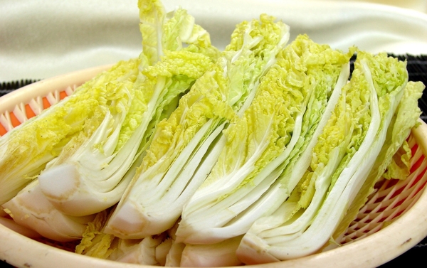 娃娃菜