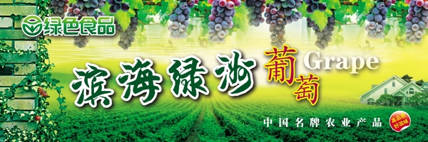 綠色葡萄圖片