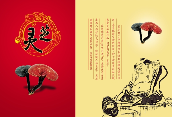 靈芝養(yǎng)生圖片